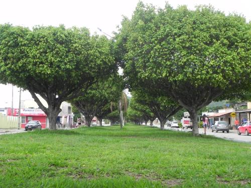 
A garden outside Planeta Hotel
